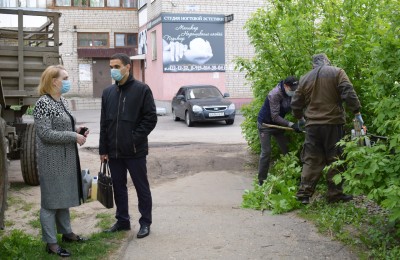 На улице Богдана Хмельницкого проходят работы по вырубке сорной поросли американского клена